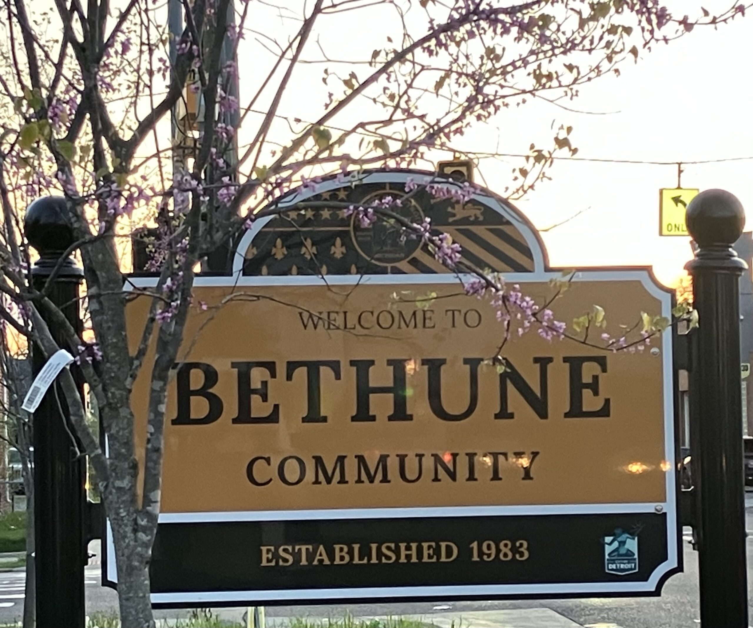 Bethune Community 